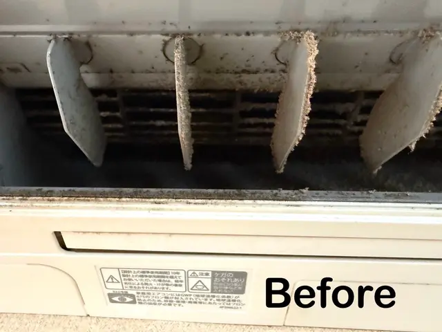 出店記念キャンペーン価格！お掃除機能付きOK！複数割！大手で実績有！損保加入法人サービスの画像