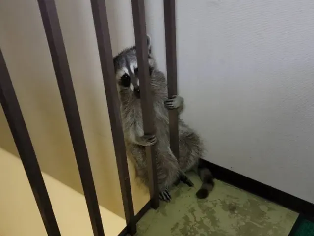 ツインビーサービスの画像