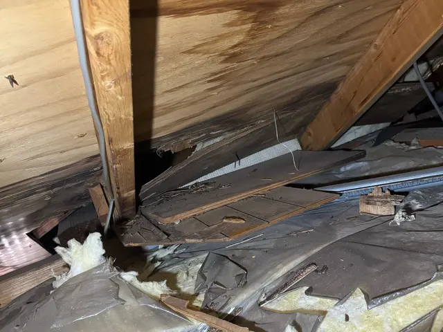 ツインビーサービスの画像