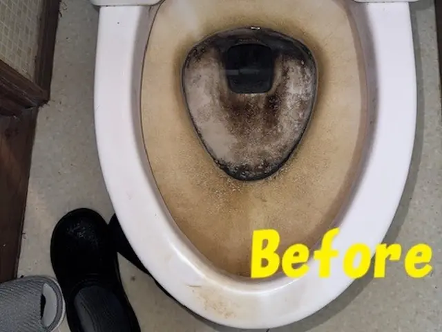 トイレのイヤナ臭いの原因になる尿石や黒ずみ手の届きにくい汚れもしっかり落としますサービスの画像