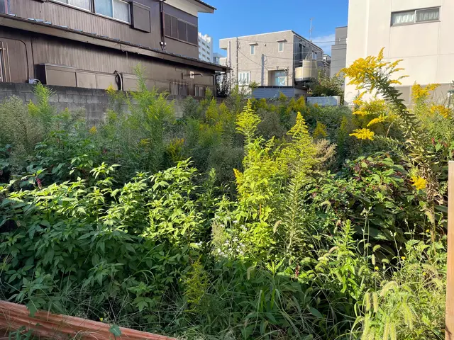 手に負えなくなった雑草お任せください！雑草対策もご相談ください♪ゴミ回収費コミ！サービスの画像