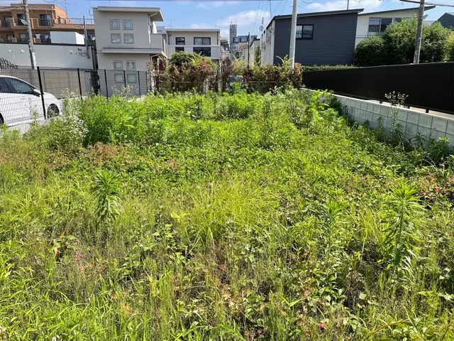 手に負えなくなった雑草お任せください！雑草対策もご相談ください♪ゴミ回収費コミ！サービスの画像