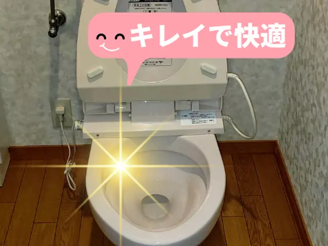 【期間限定割引実施中】トイレのなかなか落ちない気になる汚れをキレイにします！サービスの画像