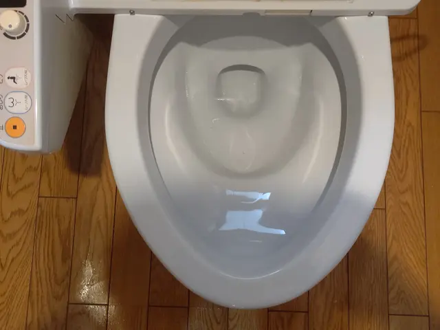 【期間限定割引実施中】トイレのなかなか落ちない気になる汚れをキレイにします！サービスの画像