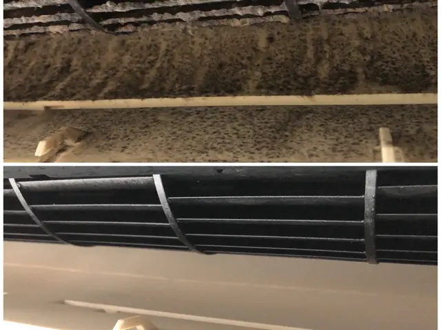 ２児パパが伺います【オーガニック洗剤使用無料！】お子様、動物、環境にも安心安全♪サービスの画像