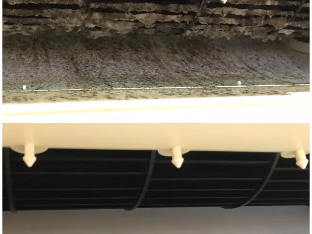 ２児パパが伺います【オーガニック洗剤使用無料！】お子様、動物、環境にも安心安全♪サービスの画像