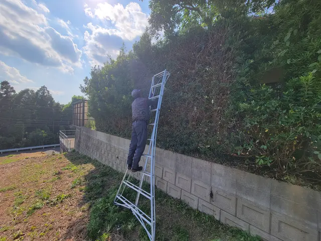 【実績多数!】キレイ刈り込み!スッキリします!【お気軽にお問い合わせください!】サービスの画像