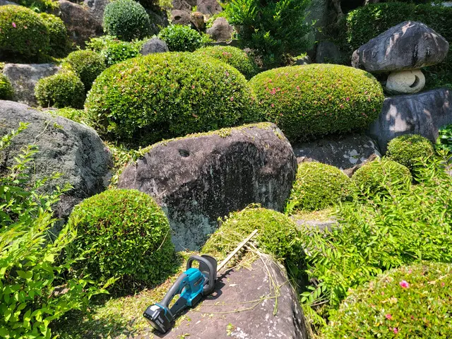 【実績多数!】キレイ刈り込み!スッキリします!【お気軽にお問い合わせください!】サービスの画像