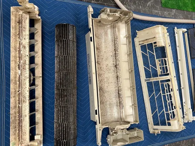 【動物大好き1児のパパ】☆ピカピカ☆にしたい方に選ばれてます！サービスの画像