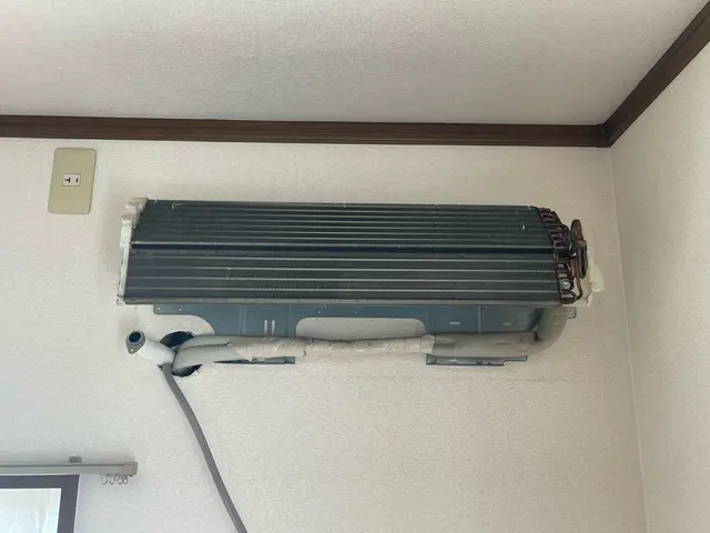 【動物大好き1児のパパ】☆ピカピカ☆にしたい方に選ばれてます！サービスの画像