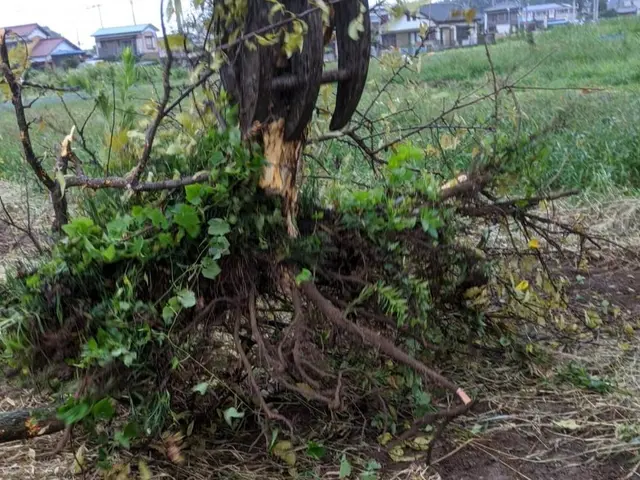 【女性スタッフ指定OK】年中無休で駆けつけます！営業時間外もご相談ください。サービスの画像