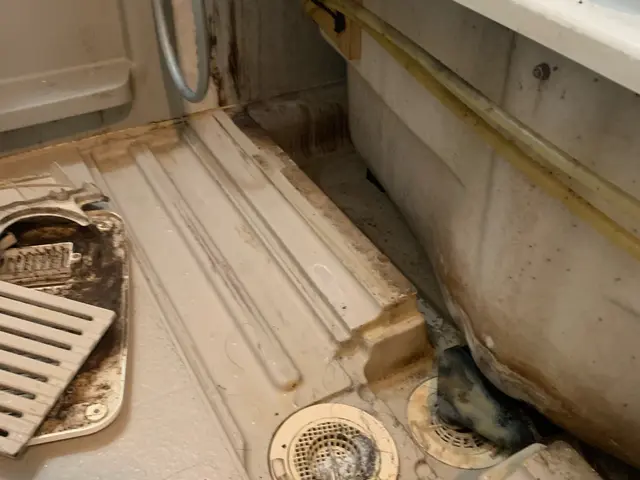 《プロのお掃除》お掃除に関するお悩みは当店が解消します！サービスの画像