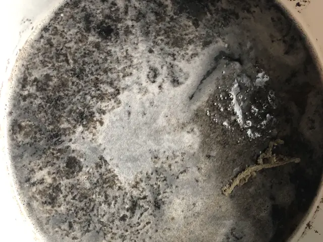 【損害保険加入済み】複数台割引きあり◎エアコンクリーニング年間1100台の実サービスの画像