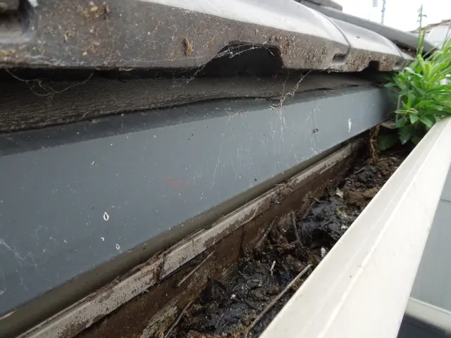 【高所作業車で伺います】工場・倉庫・店舗・住宅など雨樋掃除はお任せください！サービスの画像