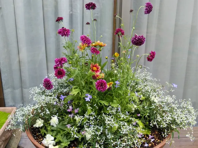 【経験30年】神奈川県中心に対応！女性店長が必ず伺います◎作業外注なし◎サービスの画像