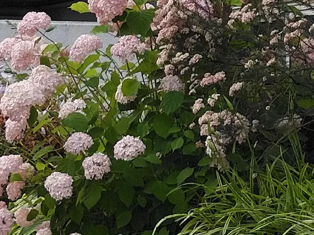 【経験30年】神奈川県中心に対応！女性店長が必ず伺います◎作業外注なし◎サービスの画像