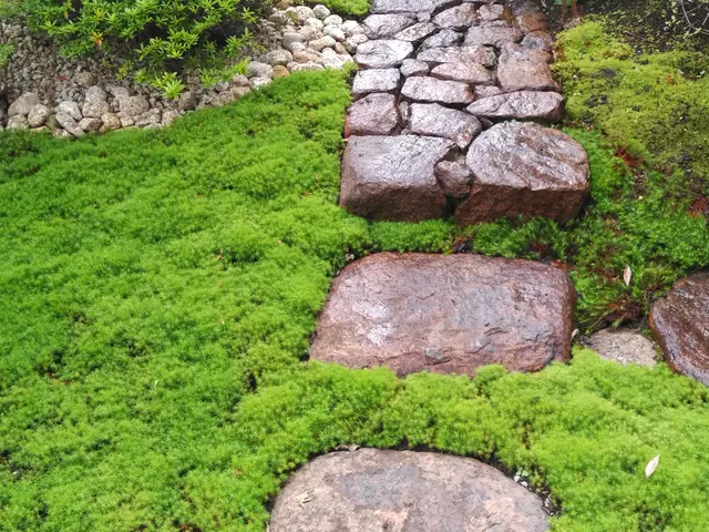 【経験30年】神奈川県中心に対応！女性店長が必ず伺います◎作業外注なし◎サービスの画像