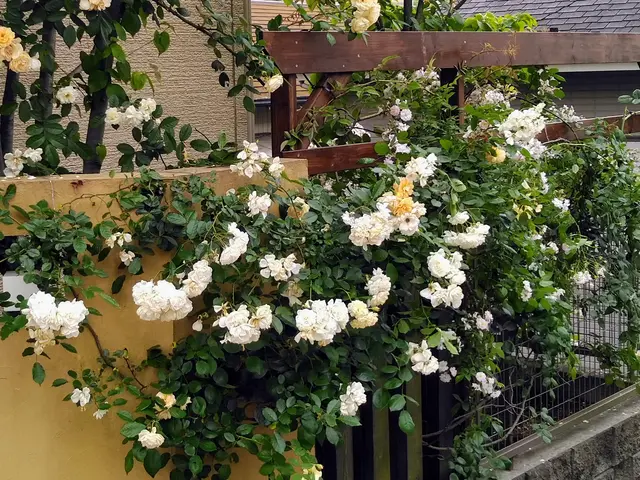 【経験30年】神奈川県中心に対応！女性店長が必ず伺います◎作業外注なし◎サービスの画像