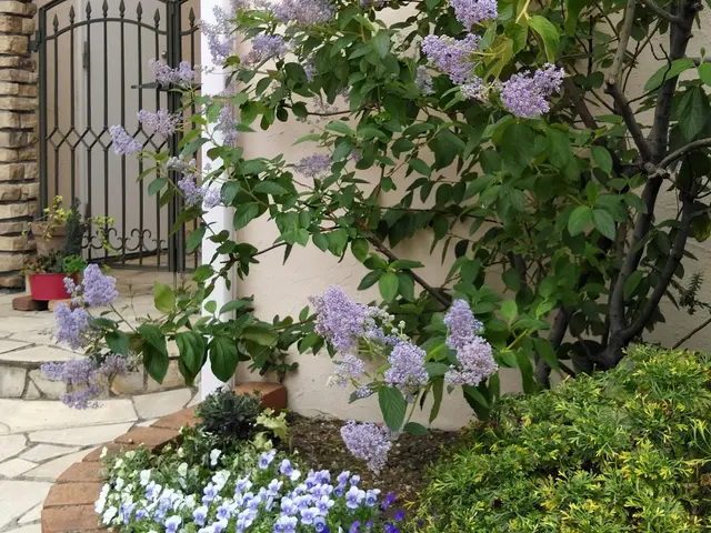 【経験30年】神奈川県中心に対応！女性店長が必ず伺います◎作業外注なし◎サービスの画像