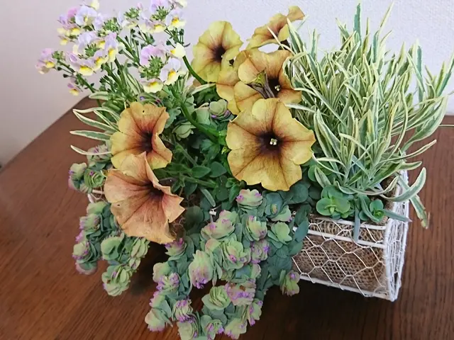 【経験30年】神奈川県中心に対応！女性店長が必ず伺います◎作業外注なし◎サービスの画像