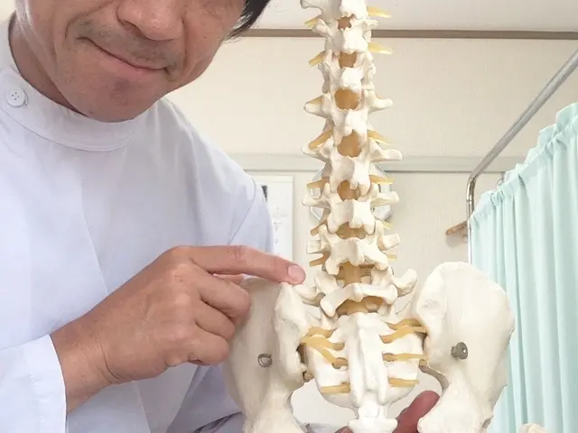 腰痛、肩こり頭痛、膝痛、股関節痛などの痛みを改善します。筋肉柔整も充分行います。サービスの画像