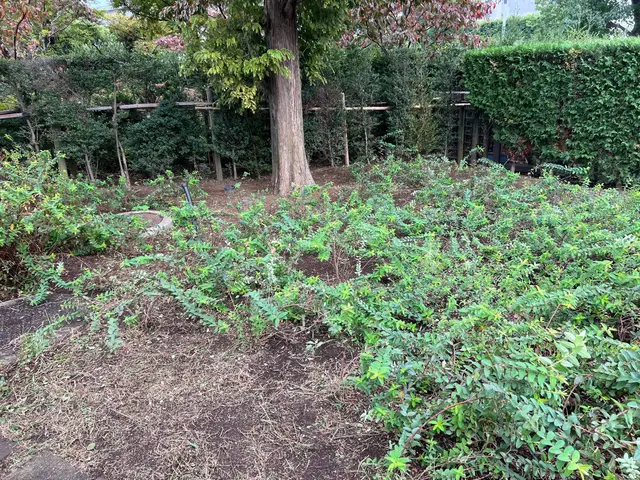 【年中無休で対応中◎】作業完了まで当店が責任を持ってご対応いたします！サービスの画像