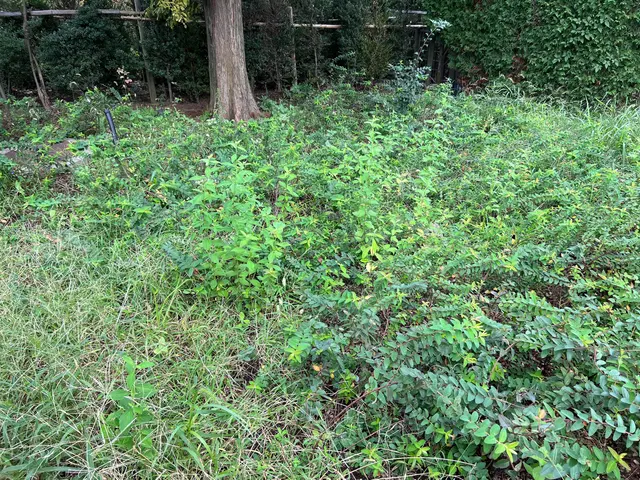 【年中無休で対応中◎】作業完了まで当店が責任を持ってご対応いたします！サービスの画像