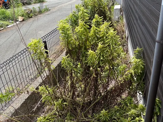 雑用なんでもサービスの画像