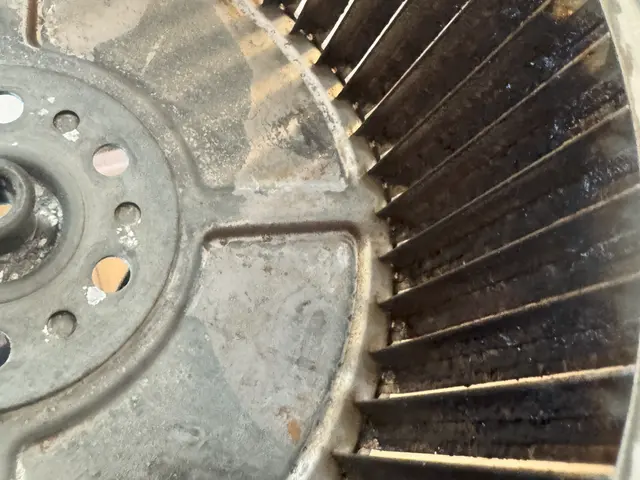 年末に向けてのキャンペーン実施中⇒年内トイレお掃除無料にてやらせて頂きます！サービスの画像