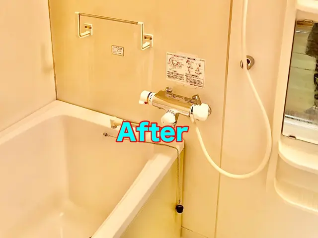 年末に向けてのキャンペーン実施中⇒年内トイレお掃除無料にてやらせて頂きます！サービスの画像