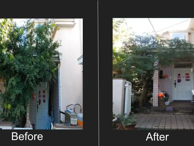 『お客様と長いお付き合いを』モットーに。綺麗で丁寧に剪定。何でもご相談下さいませサービスの画像