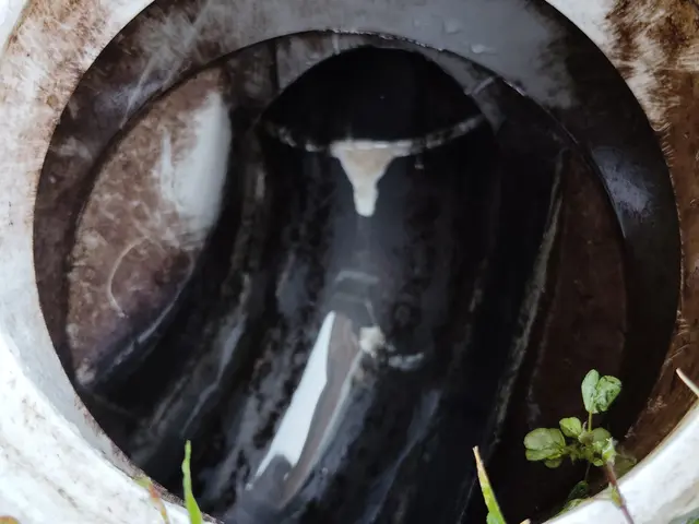 【安心・迅速・丁寧！】多数の実績と感謝の声サービスの画像