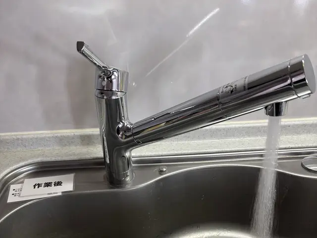 蛇口本体交換サービスの画像