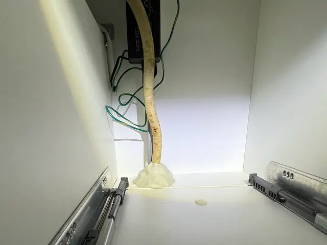 ゴキブリ駆除｜侵入防止までしっかり対応サービスの画像