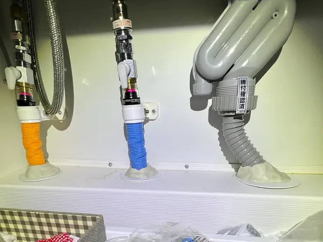 ゴキブリ駆除｜侵入防止までしっかり対応サービスの画像