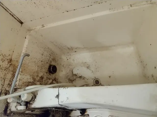 毎日の入浴が楽しみになるような浴室を目指し徹底洗浄いたします！サービスの画像