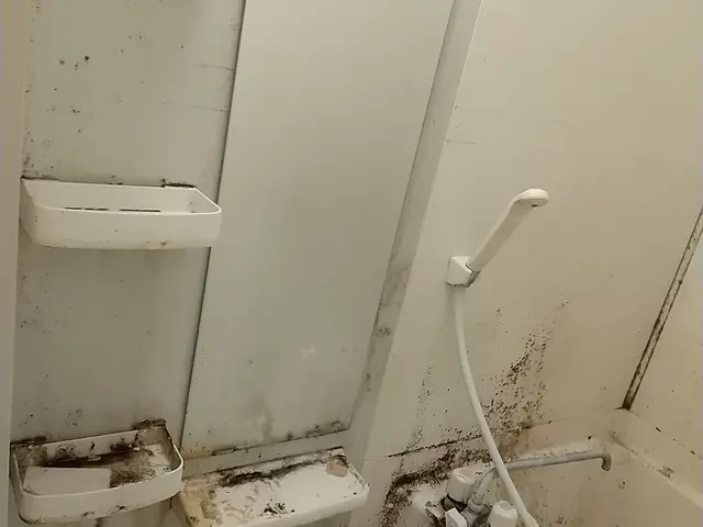 毎日の入浴が楽しみになるような浴室を目指し徹底洗浄いたします！サービスの画像