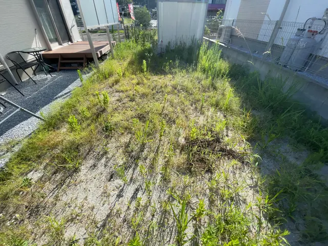 【一度綺麗に！】夏に伸びた草をスッキリさせて冬を迎えましょう！サービスの画像