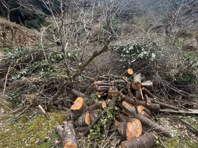 プロの技術でご満足いただけるように心を込めて作業いたします。サービスの画像