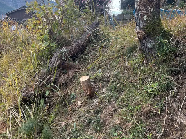 プロの技術でご満足いただけるように心を込めて作業いたします。サービスの画像