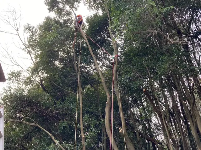 ◆自社の職人がお伺いします◎業歴8年◎対応地域外も対応いたしますサービスの画像