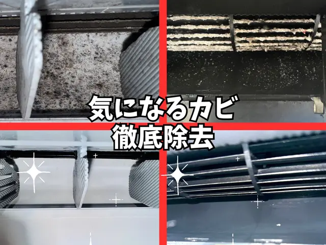 通常抗菌は無料！★天然洗剤使用で安心安全 ★ 複数台でおうち丸ごとお得！サービスの画像