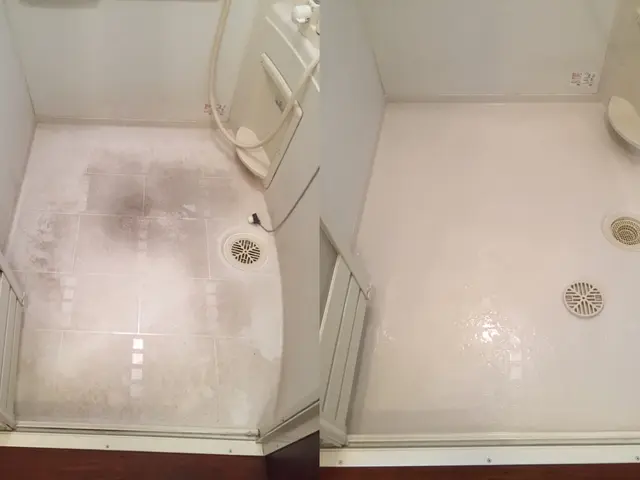 入退去清掃！水アカ、カビも徹底除去で新入居者さんも満足のプロの技で徹底清掃！サービスの画像