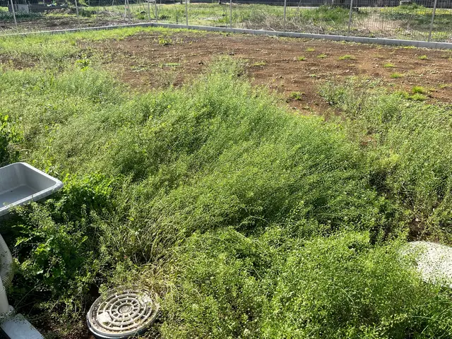 豊富な経験と知識で安心！仕上がり重視で丁寧に施工いたします！サービスの画像