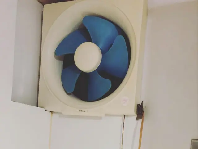 【PayPay対応】換気扇の頑固な油汚れもプロの技術でピカピカに！サービスの画像