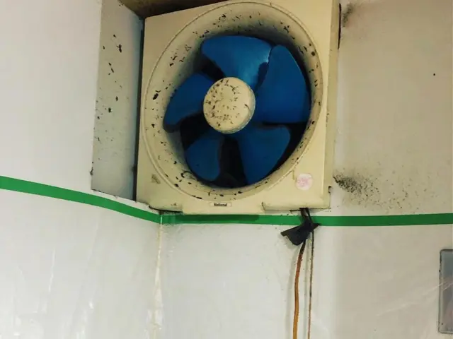 【PayPay対応】換気扇の頑固な油汚れもプロの技術でピカピカに！サービスの画像