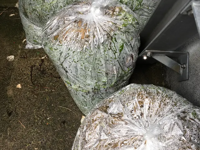 【店長のわたしが伺います！】お気軽にご相談ください！！サービスの画像