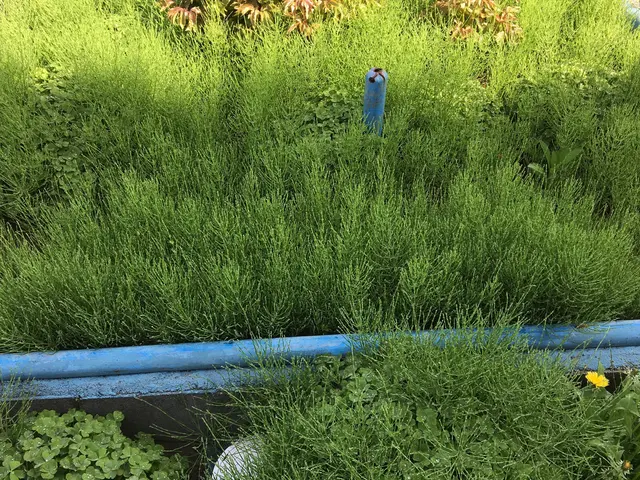 【店長のわたしが伺います！】お気軽にご相談ください！！サービスの画像