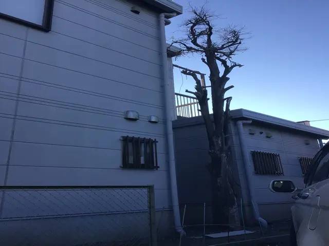 庭木の伐採、抜根承ります！サービスの画像