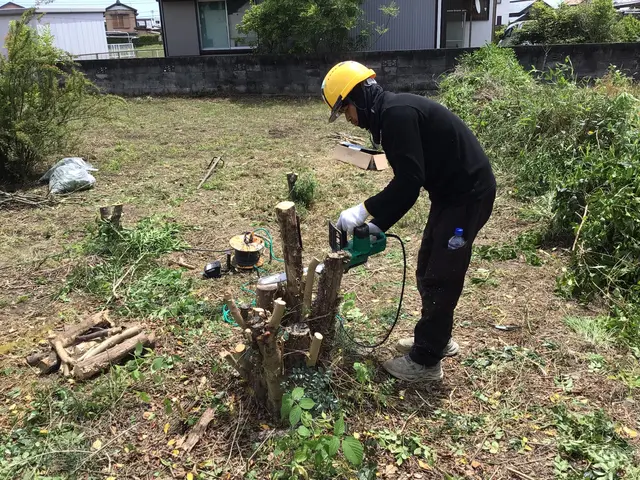 庭木の伐採、抜根承ります！サービスの画像